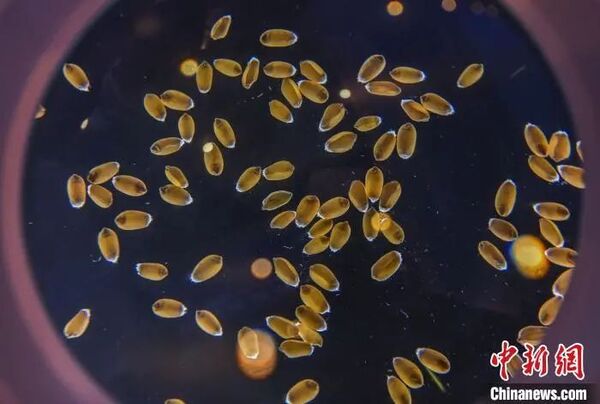 �������r�����r�I�x���ܵ��c��ý�w�Pע